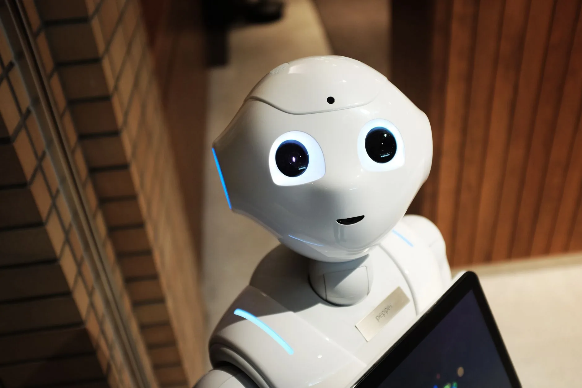 AI 入门：从零开始构建智能应用